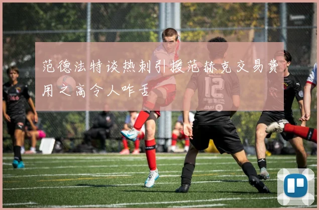 范德法特谈热刺引援范赫克交易费用之高令人咋舌