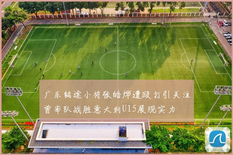 广东铭途小将张皓烨遭殴打引关注曾率队战胜意大利U15展现实力