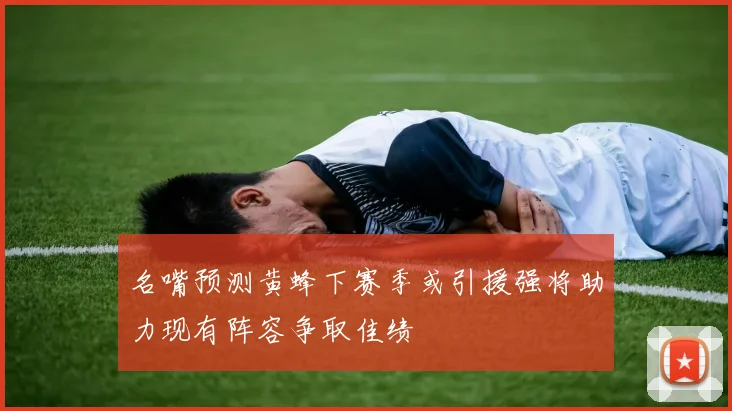 名嘴预测黄蜂下赛季或引援强将助力现有阵容争取佳绩